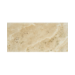 12x24 Ivory Cream
