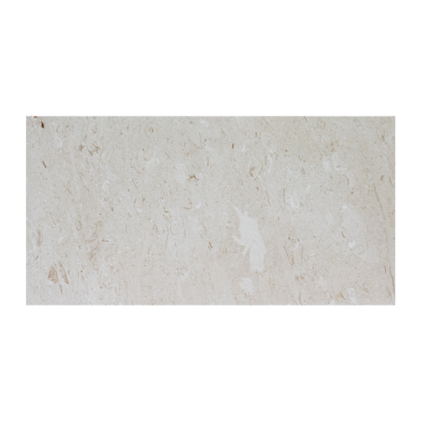 12x24 Shell Stone