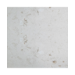 24X24 Shell Stone