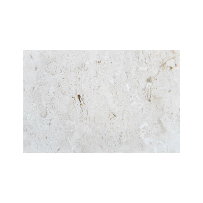 16X24 Shell Stone