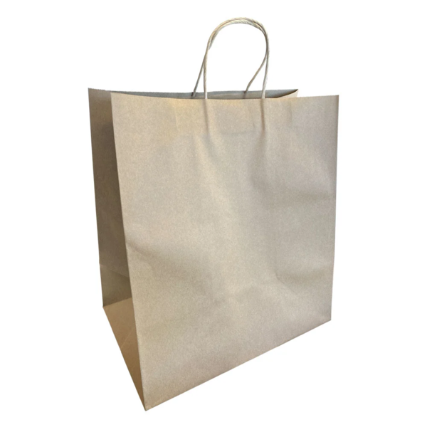 Kraft Shopping Bags - 14" x 9" x 15-1/2" - Twisted Handles