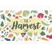 FSE 373-MGNT-FTS 48" L x 24" W Farm-to-School Meal Serving Cart Magnet