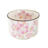 Sakura Matcha Bowl Set
