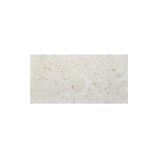 6X12 Shell Stone