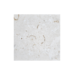 16X16 Shell Stone