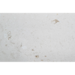 24X48 Shell Stone