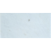 12X24 Bianco Pearl