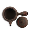 Teapot Tosen 9.5oz