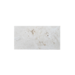 6X12 Shell Stone