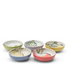 Vegetables Assorted Sauce Bowls Set/5 3-3/4"