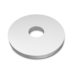 Tennant/Nobles - 4034852 - Washer, Flat, 0.34B 1.25D .11, Ss (Replaces Tennant 1016331)