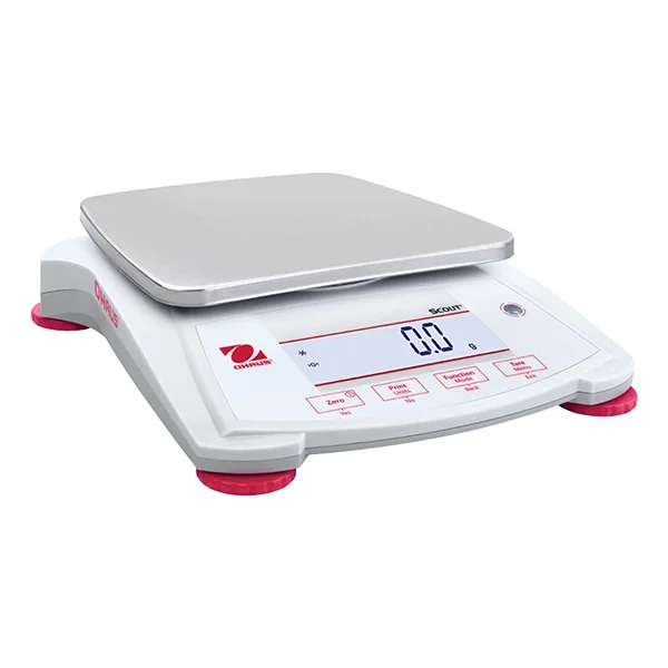 Portable Electronic Balance - 620 g Capacity - 0.1 g Graduations