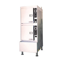 Cleveland 24CGA10.2NEZTQS NG Steamcraft Gemini 10 Convection Steamer