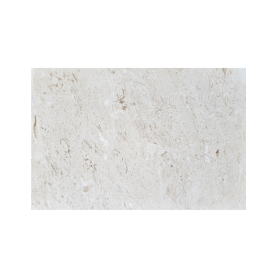 16X24 Shell Stone