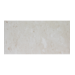 12x24 Shell Stone