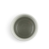 Teacup Red Tai 8 Oz.