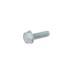 Tennant/Nobles - 4034348 - Screw, Hex, M6 X 1.00 X 20, Fmg (Replaces Tennant 12459)