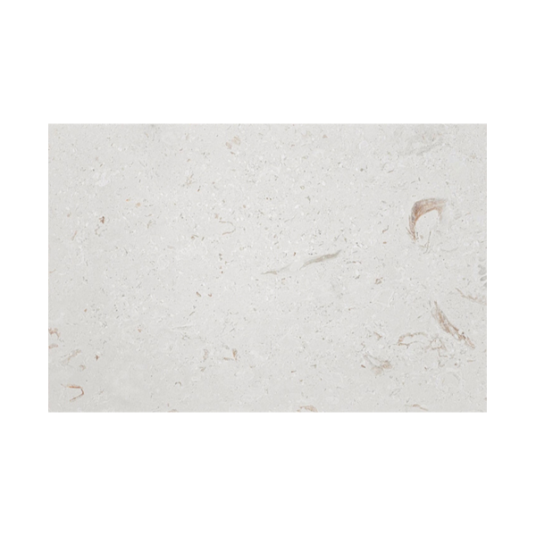 16X24 Shell Stone Light
