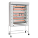 Rotisol FB1160-6G-SS FlamBoyant Infrared Rotisserie Oven