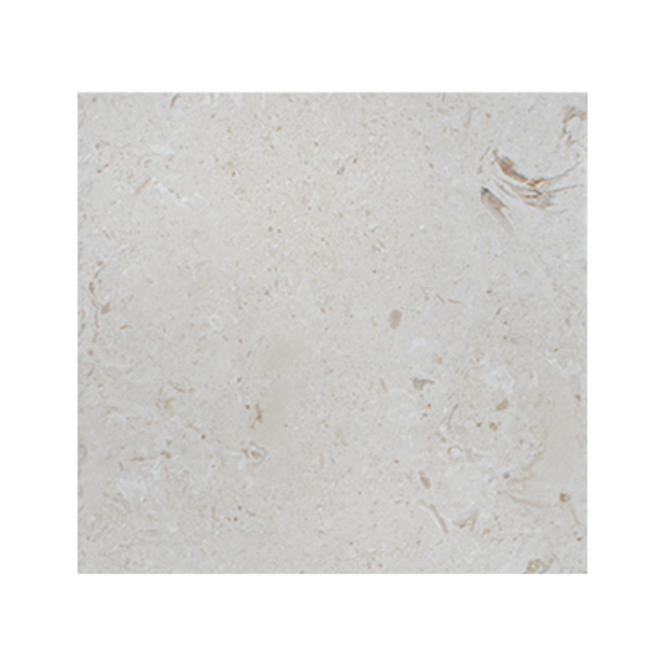24X24 Shell Stone