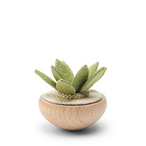 Figurine Succulents 2-1/4"h