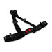 70.678 4 Point Harness for Actimo Seat - Angled View