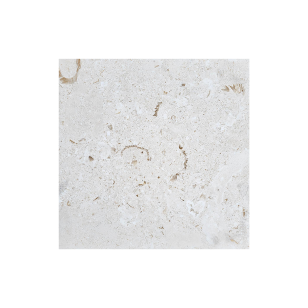 16X16 Shell Stone