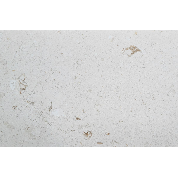 24X48 Shell Stone
