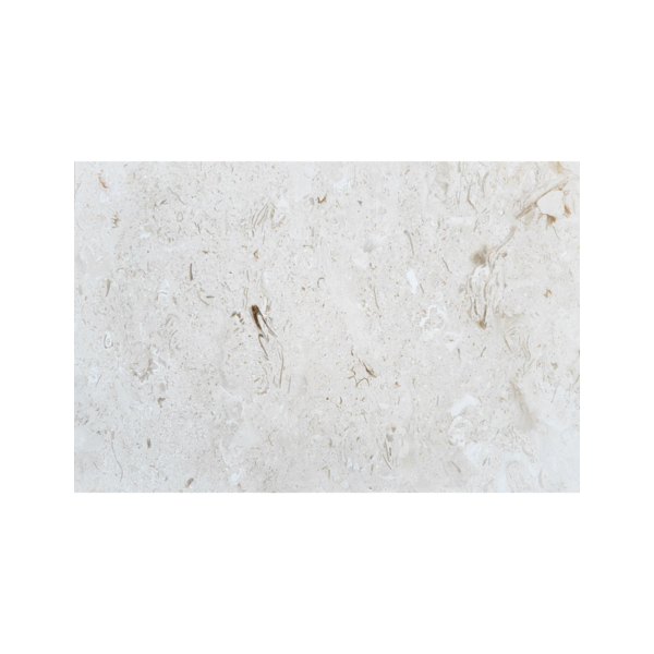 16X24 Shell Stone