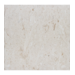 16X16 Shell Stone
