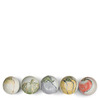 Vegetables Assorted Sauce Bowls Set/5 3-3/4"