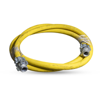 2" X 25' Air Manifold Hose w/Boss Couplings