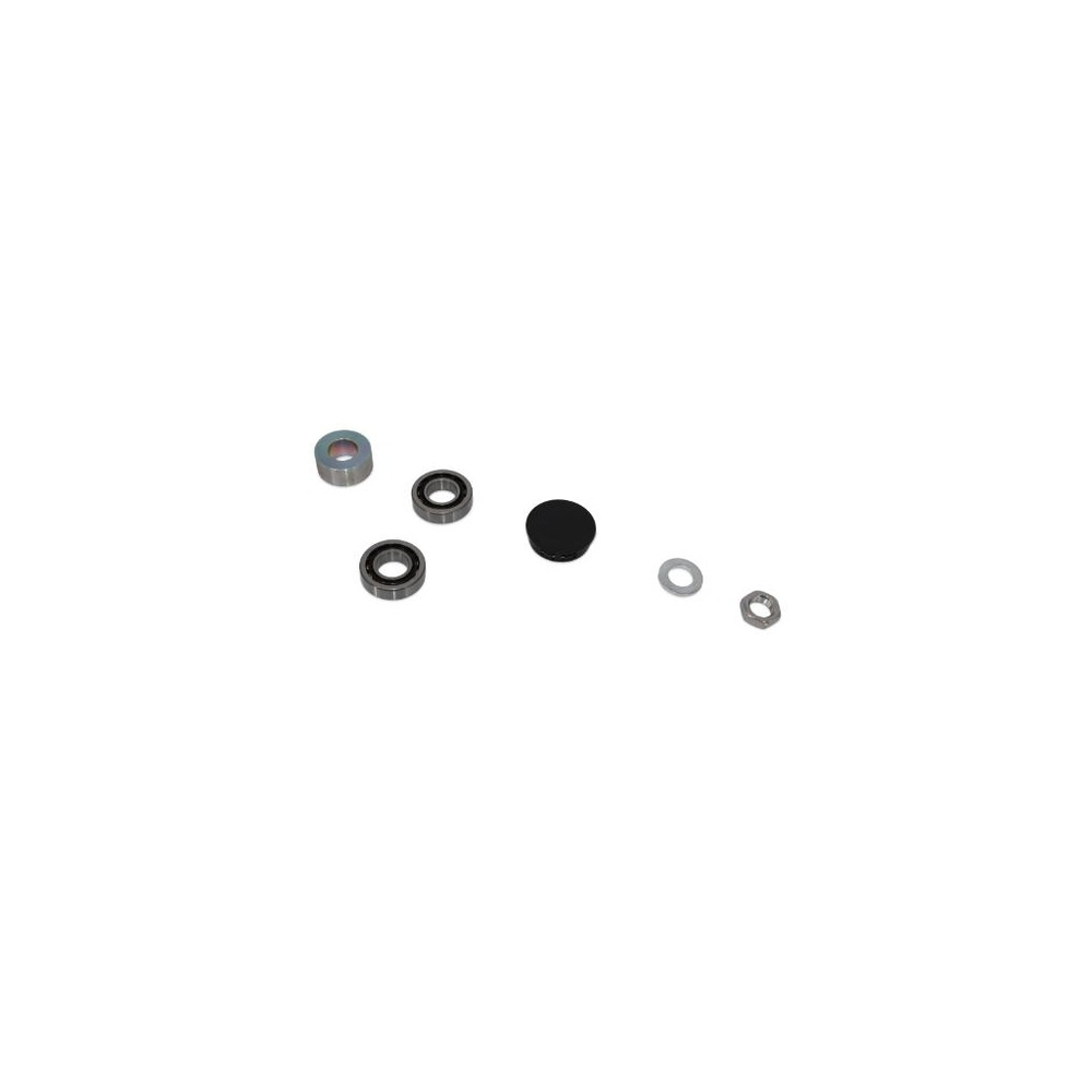 Nilfisk Advance - VR11501 - Kit Drive Motor Bearing