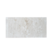 12x24 Shell Stone