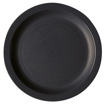 Cambro 10" Plates