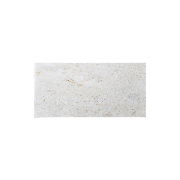 6X12 Shell Stone