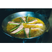 Matfer Bourgeat 062052 15-3/4" Dia. X 2-1/16"H Paella Pan