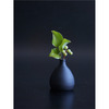 Single Flower Vase Lolo 3"h