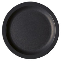 Cambro 10" Plates