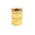 MTM Hydro 3/8" Female NPT Brass Quick Coupler