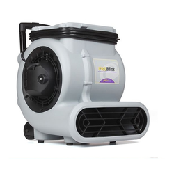New ProTeam Problitz Xp Airmover