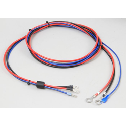 Charger Cord, Summit Ii, 12Ga, W/5/16" Ring Eye Terminals