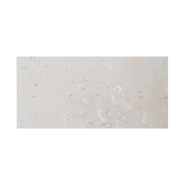 12X24 Shell Stone Light