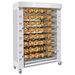 Rotisol FB1400-8G-SS FlamBoyant Infrared Rotisserie Oven