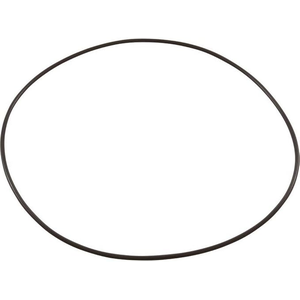 Pump Volute O-Ring for Aqua Flo XP2 92200300