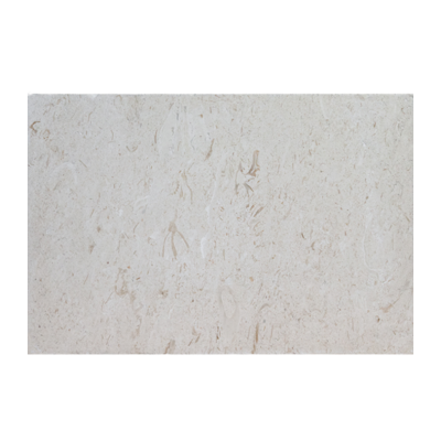 16X24 Shell Stone