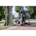 Karcher MC 80 sweeping fallen blossoms beside a tree