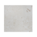 24X24 Shell Stone