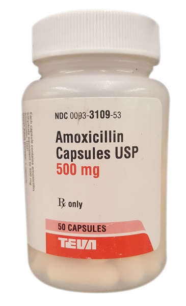 amoxicillin 500 mg interactions with alcohol