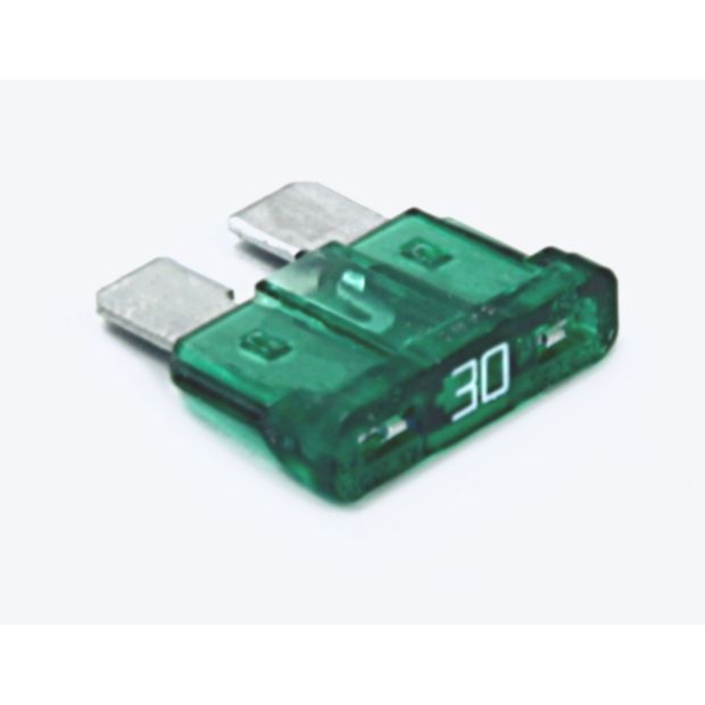 Fuse, 30 Amp